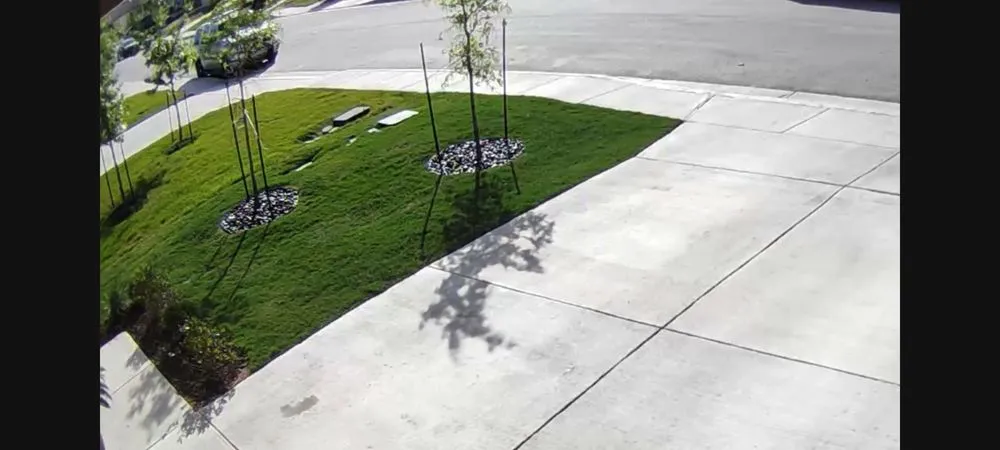 Custom yard maintenance near you across Canyon Lake, TX - Committed Lawn Care