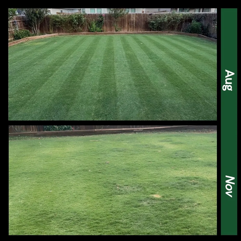 Reliable landscape installation in Canyon Lake, TX - Committed Lawn Care