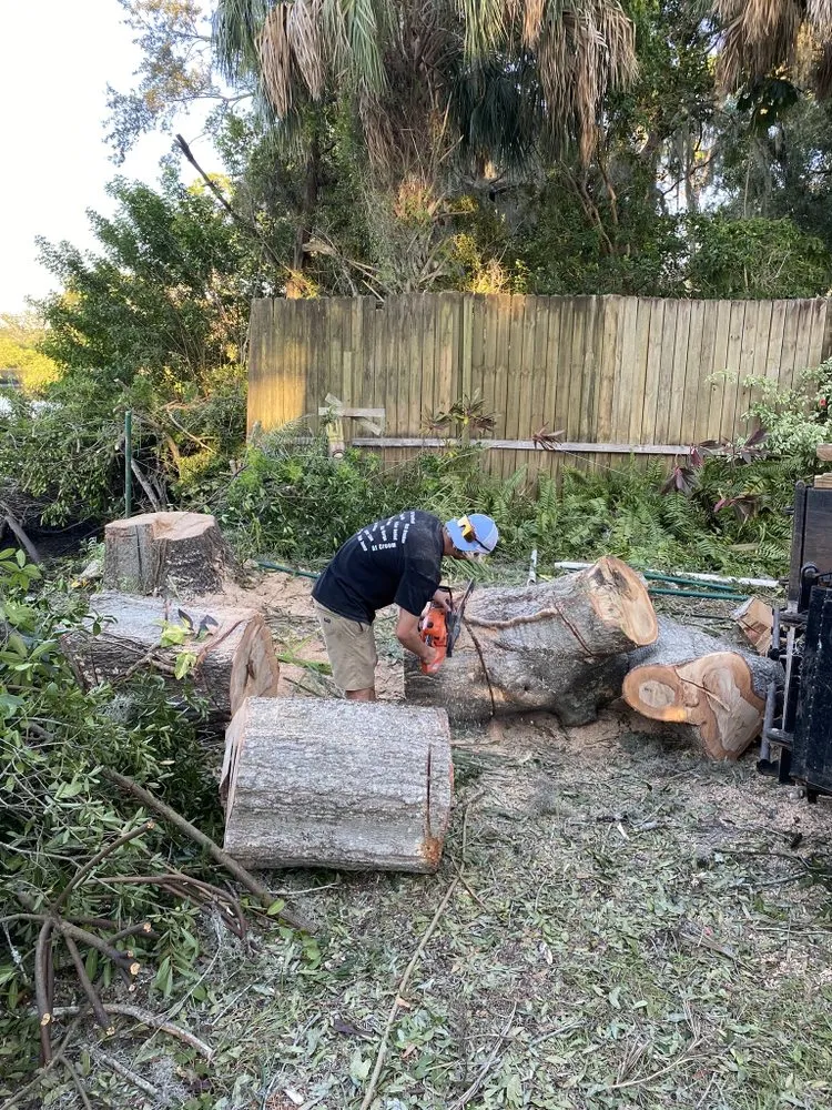 Affordable yard cleanup service with custom design across Saint Petersburg, FL - Committed Solutions