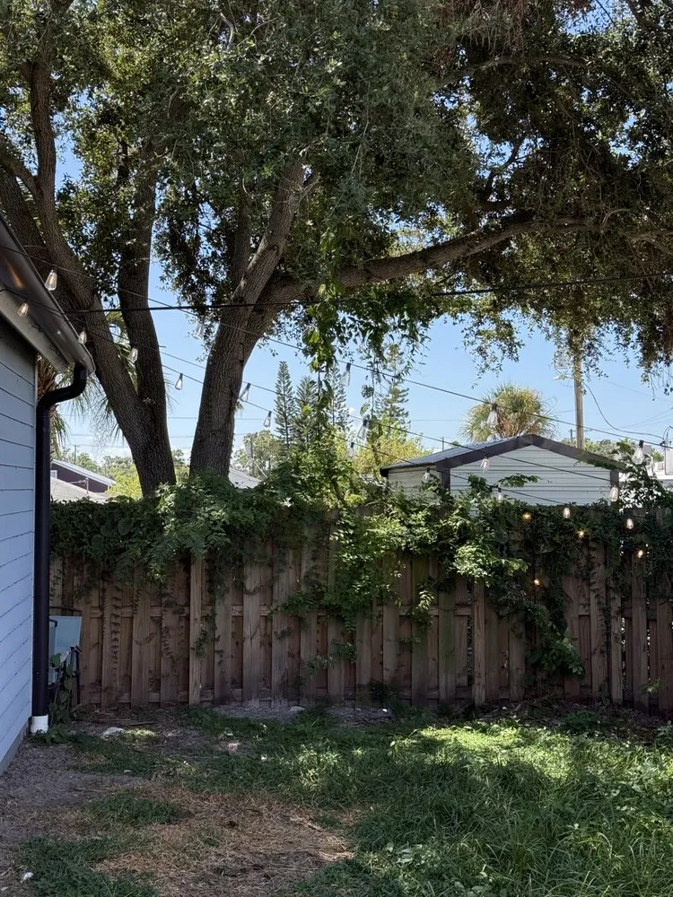 Professional outdoor landscaping in Saint Petersburg, FL by Committed Solutions