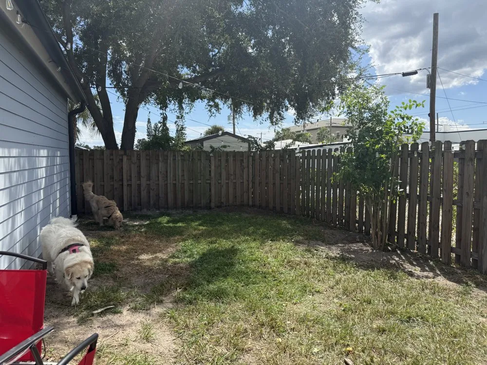 Reliable lawn mowing service for year-round maintenance across Saint Petersburg, FL - Committed Solutions