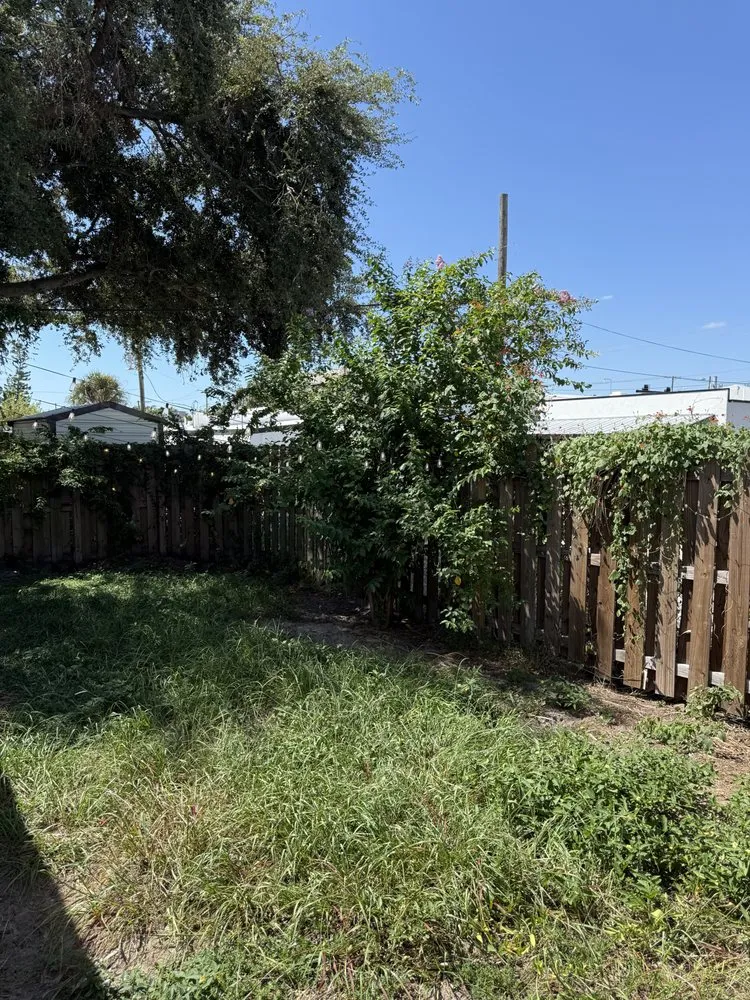 Top-rated landscape design near you across Saint Petersburg, FL - Committed Solutions