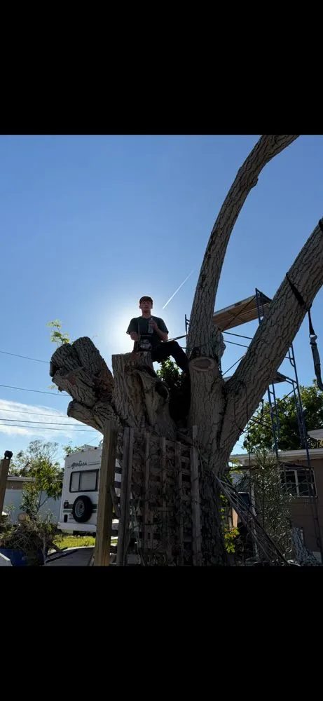 Custom residential landscaping for beautiful yards in Saint Petersburg, FL by Committed Solutions