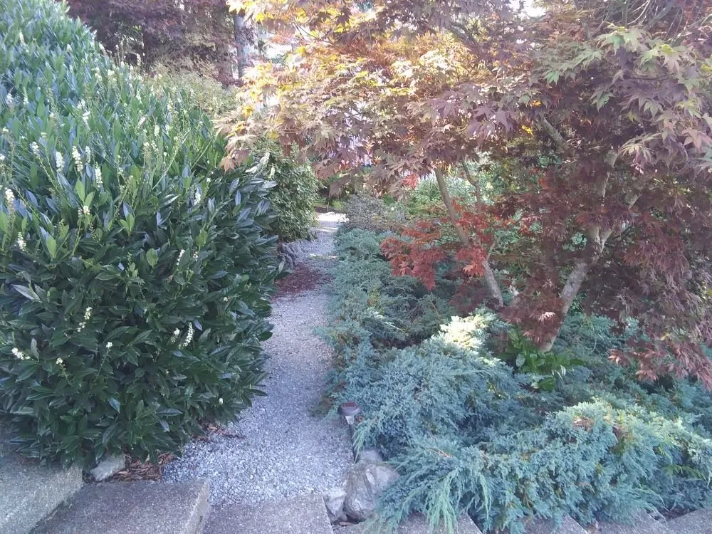 Reliable landscape design for beautiful yards in Mount Vernon, WA by Common goals united