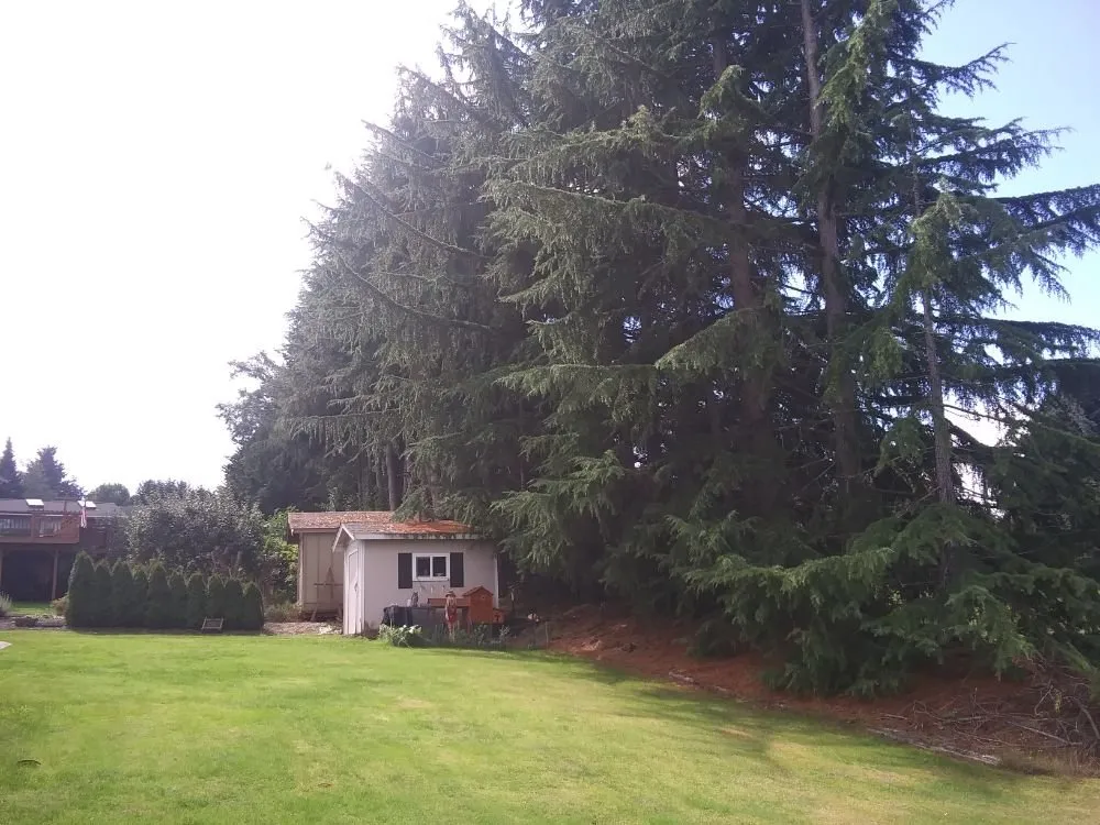 Local garden landscaping in Mount Vernon, WA - Common goals united