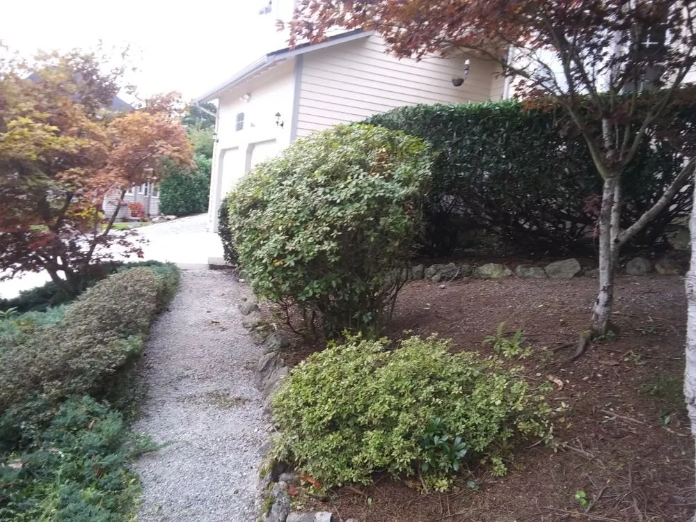 Top-rated yard cleanup service with custom design in Mount Vernon, WA by Common goals united