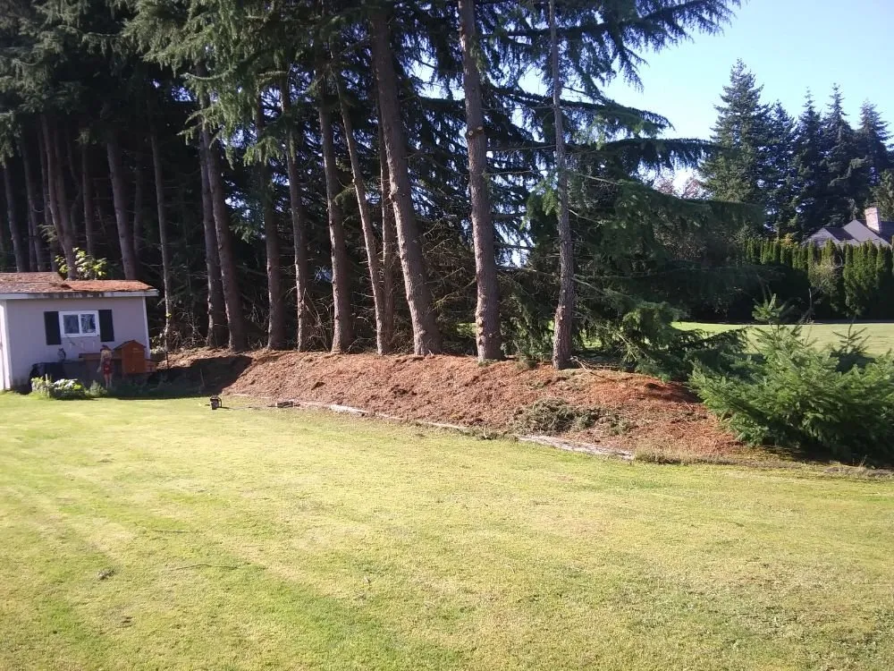 Affordable garden landscaping in Mount Vernon, WA - Common goals united