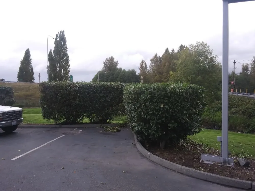 Affordable landscape design in Mount Vernon, WA - Common goals united