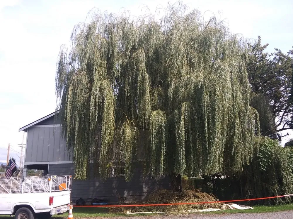 Local garden landscaping in Mount Vernon, WA - Common goals united