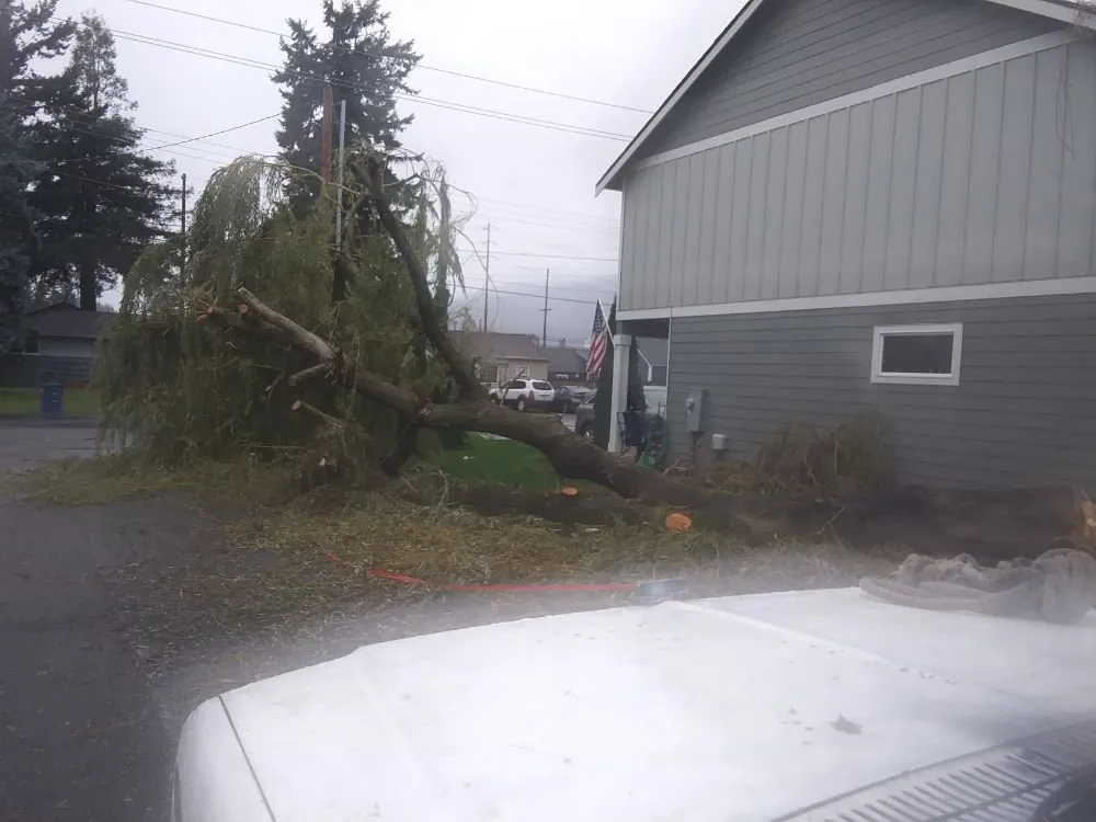 Custom landscape design in Mount Vernon, WA - Common goals united