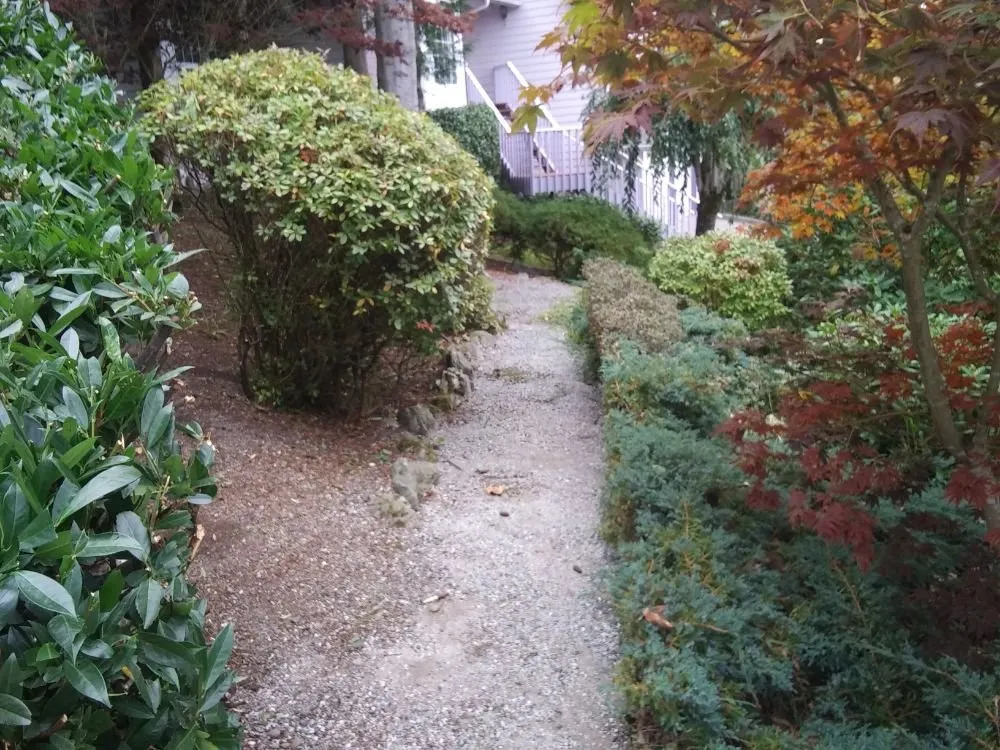 Expert yard cleanup service with custom design in Mount Vernon, WA by Common goals united