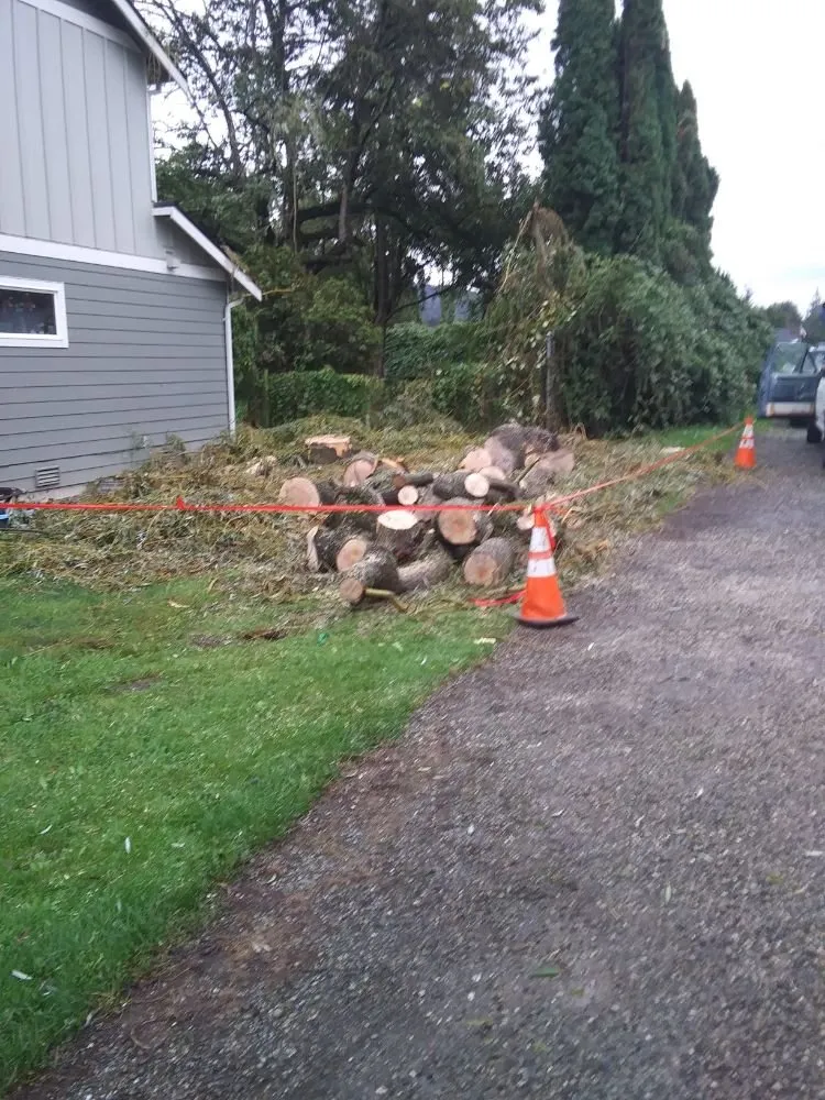 Expert lawn mowing service near you in Mount Vernon, WA by Common goals united