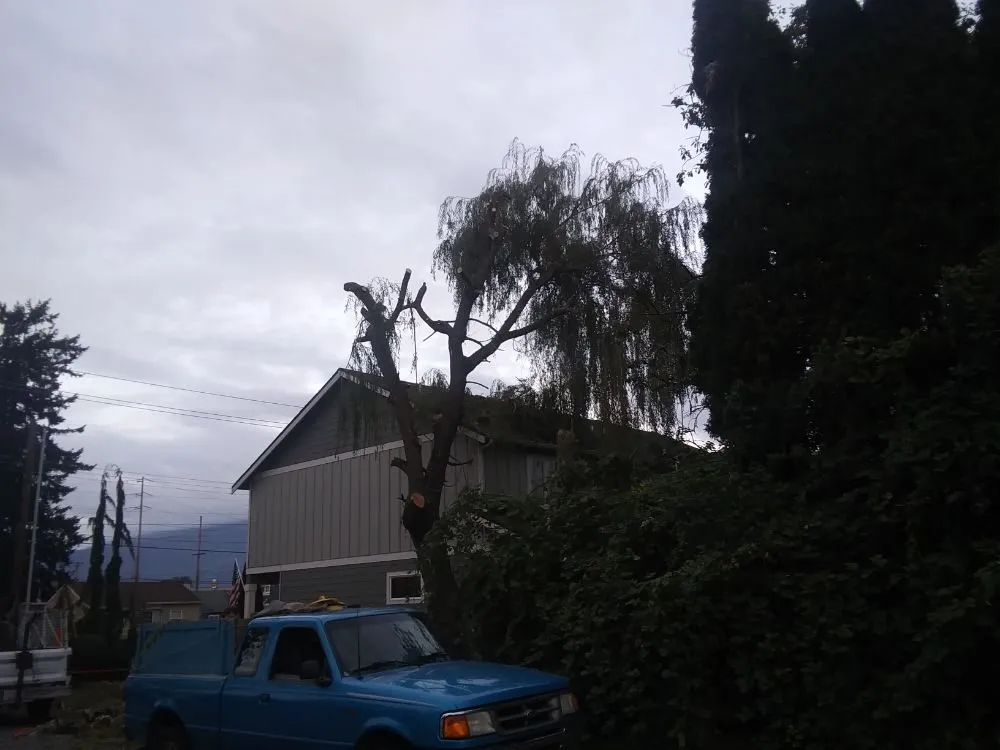 Professional outdoor landscaping in Mount Vernon, WA - Common goals united