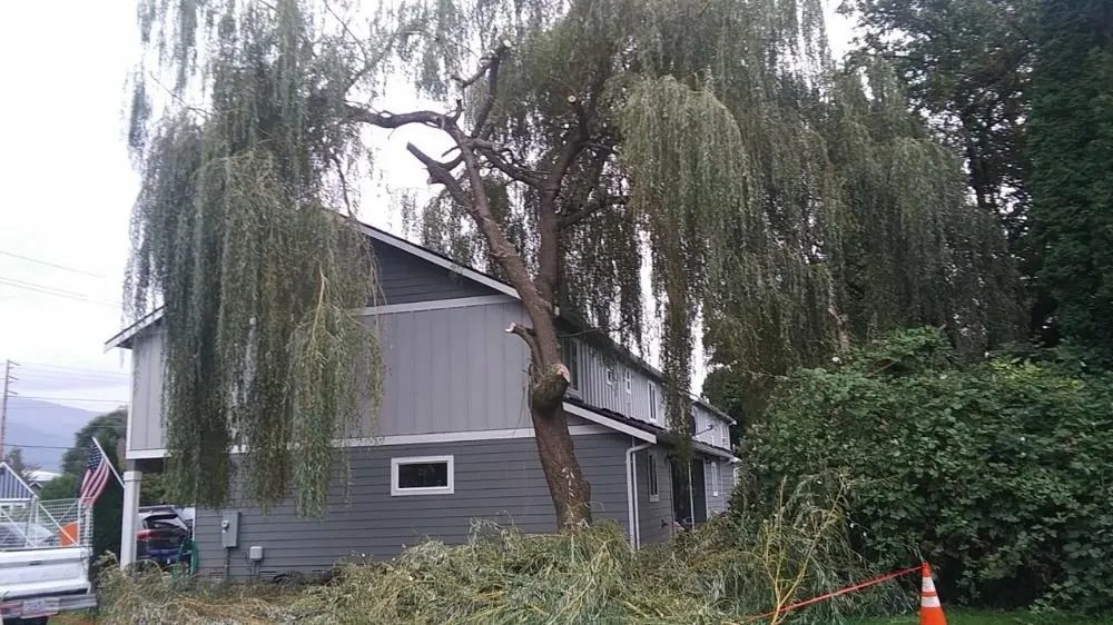 Professional garden landscaping in Mount Vernon, WA by Common goals united