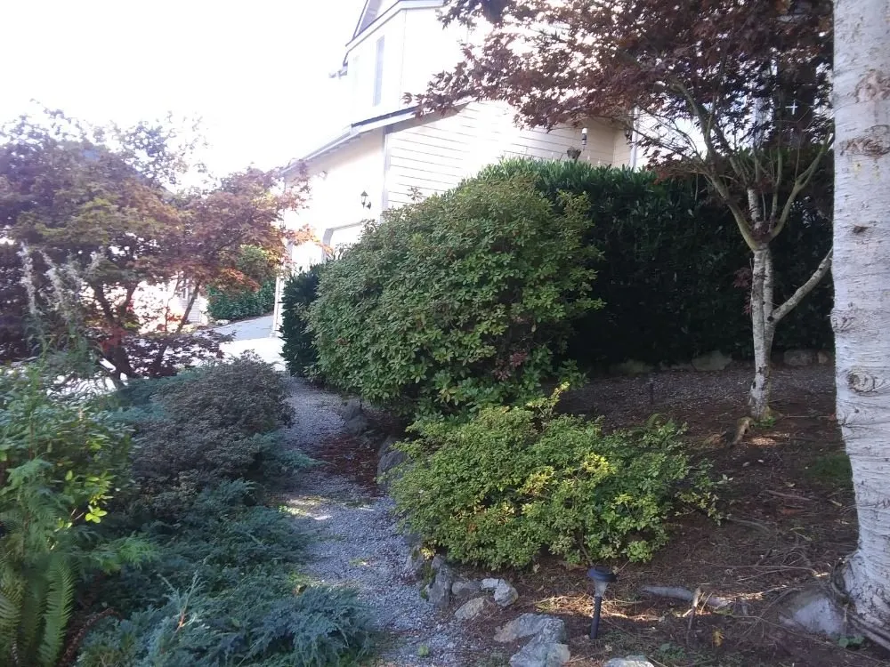 Custom landscape design in Mount Vernon, WA - Common goals united