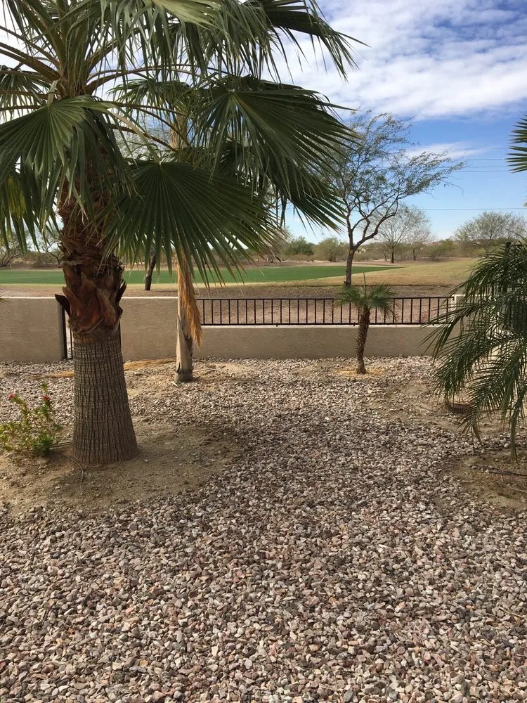Top-rated yard cleanup service for beautiful yards in Buckeye, AZ by Common Ground Landscaping