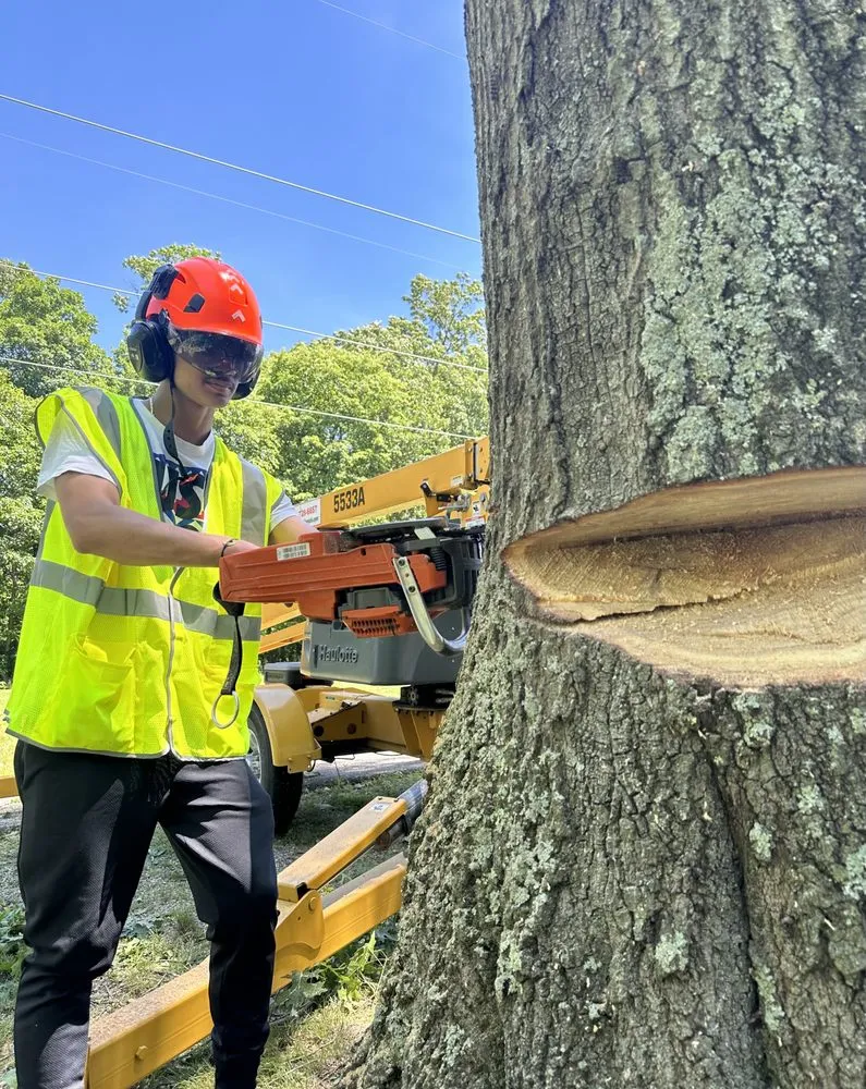 Professional lawn mowing service in Shepherdstown, WV by Common Ground Tree Care