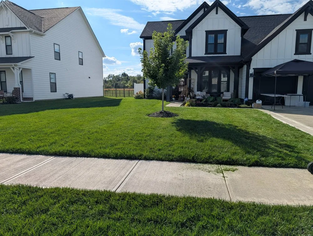 Professional lawn care service for beautiful yards in New Palestine, IN by Common Grounds Lawn Care