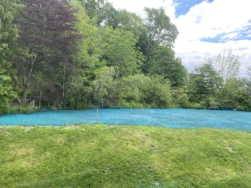 Trusted yard maintenance in Woburn, MA - Commonwealth Hydroseed