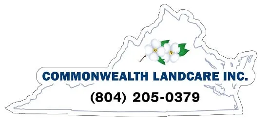 Trusted yard cleanup service for year-round maintenance across Glen Allen, VA - Commonwealth Landcare