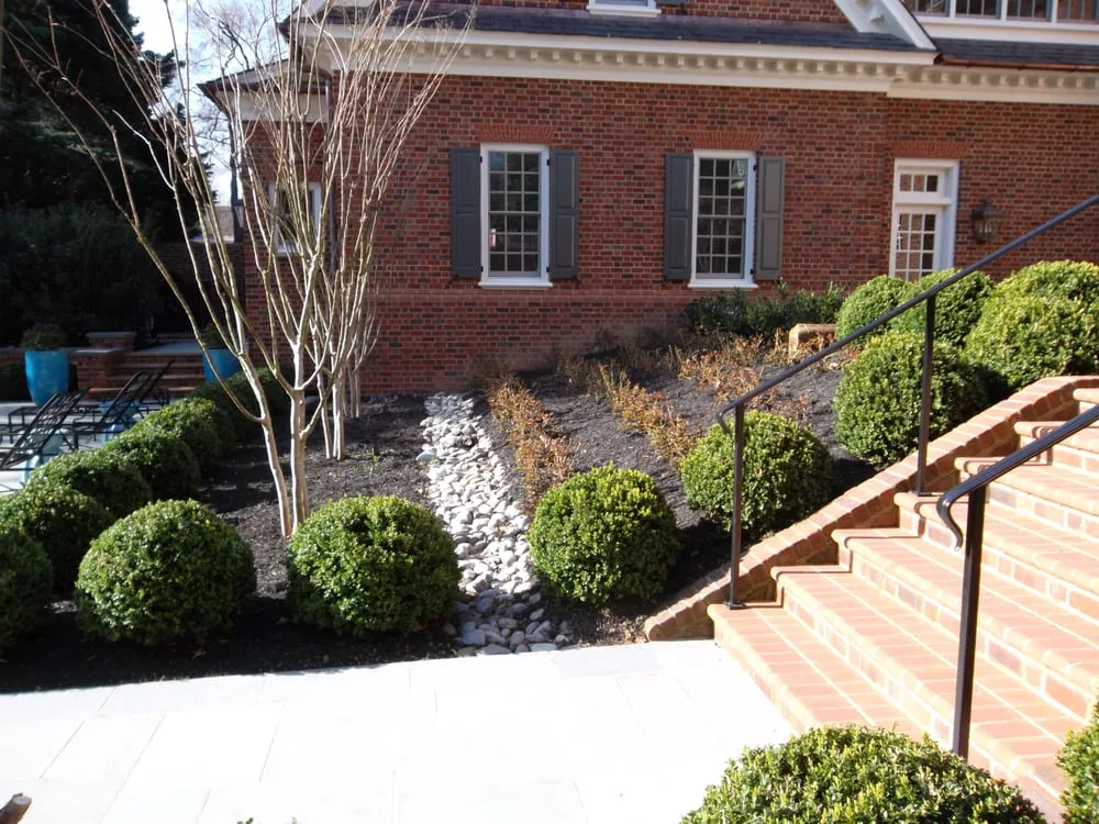 Expert yard cleanup service in Glen Allen, VA by Commonwealth Landcare