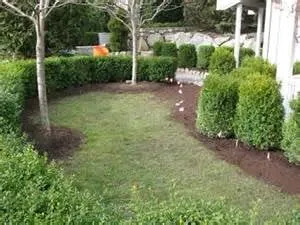 Professional outdoor landscaping in Ashland, VA by Commonwealth Lawn Care Services