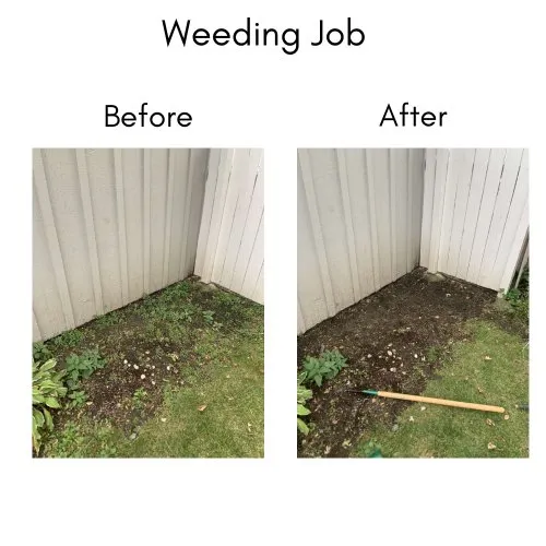 Trusted garden landscaping in Barrington, IL - Community Butler