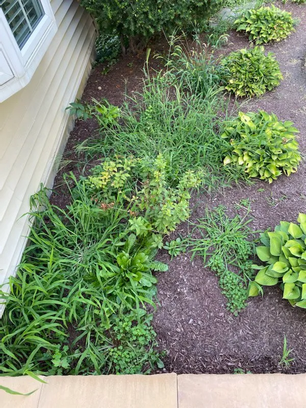 Expert landscape installation with custom design across Barrington, IL - Community Butler