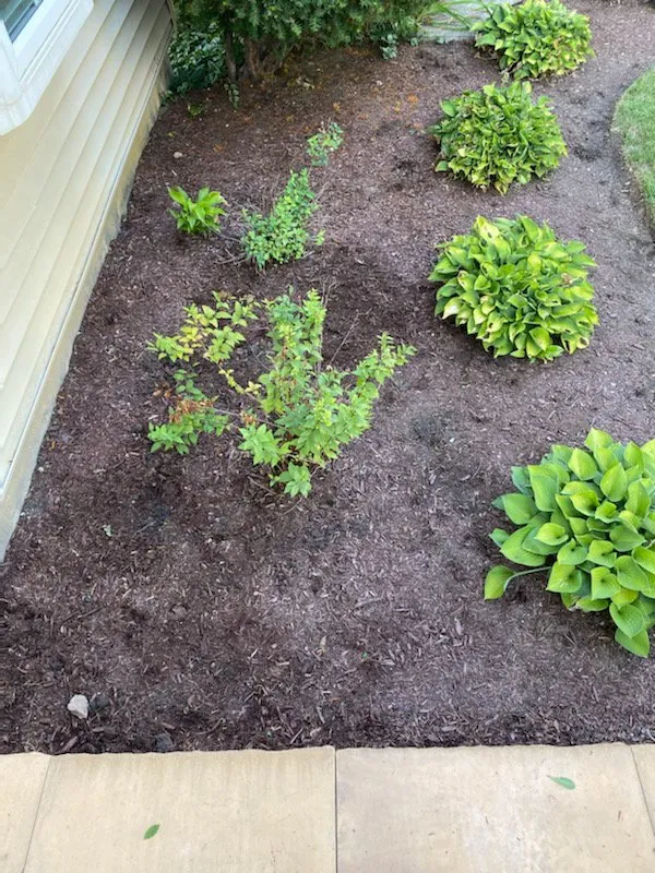 Reliable yard cleanup service in Barrington, IL - Community Butler