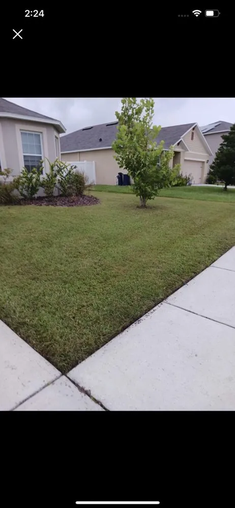 Expert yard maintenance in Jacksonville, FL - Community Cut’s