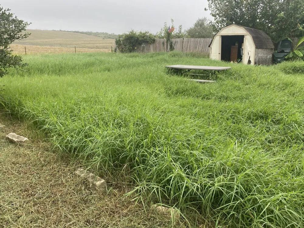 Local lawn mowing service for residential properties in New Braunfels, TX by Community Fence