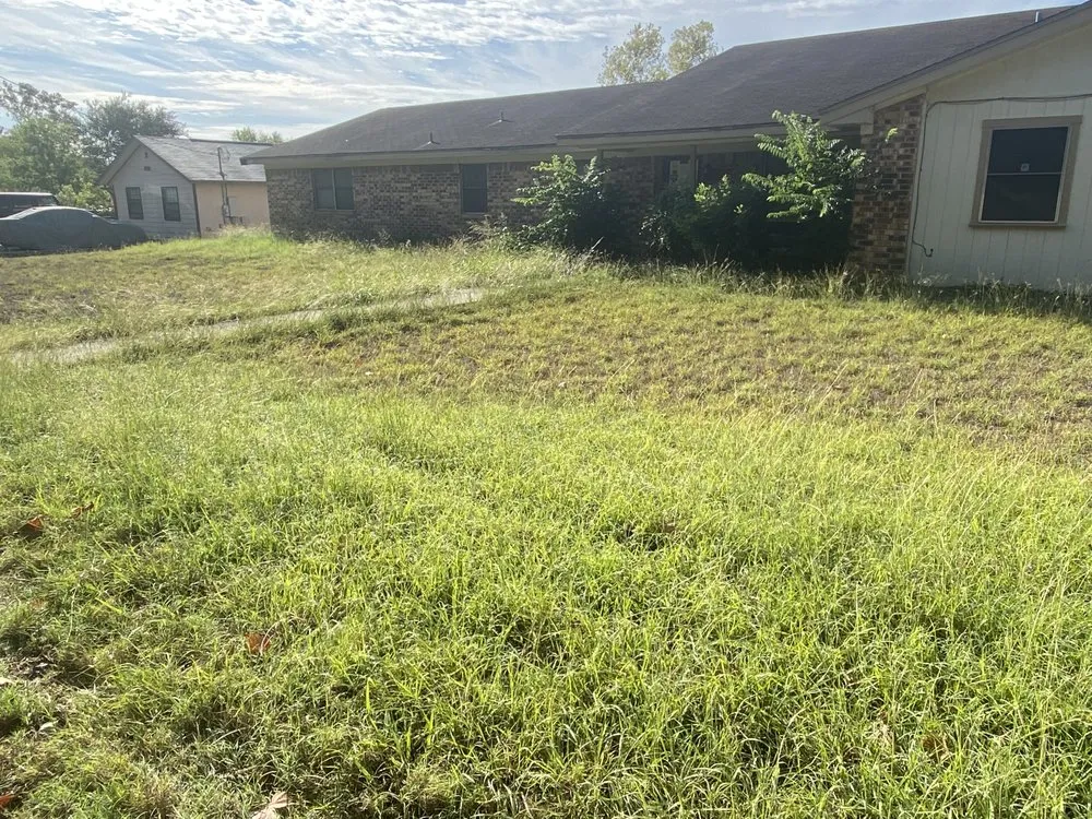 Local outdoor landscaping in New Braunfels, TX by Community Fence