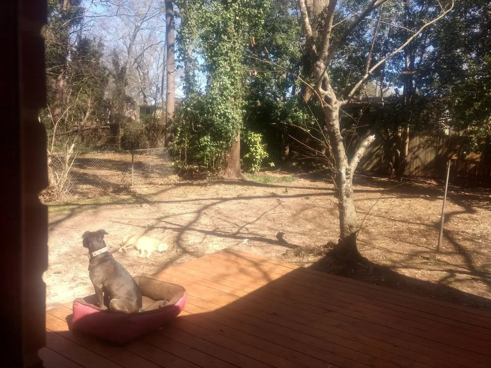 Professional outdoor landscaping experts serving Atlanta, GA - Community Foodscapes