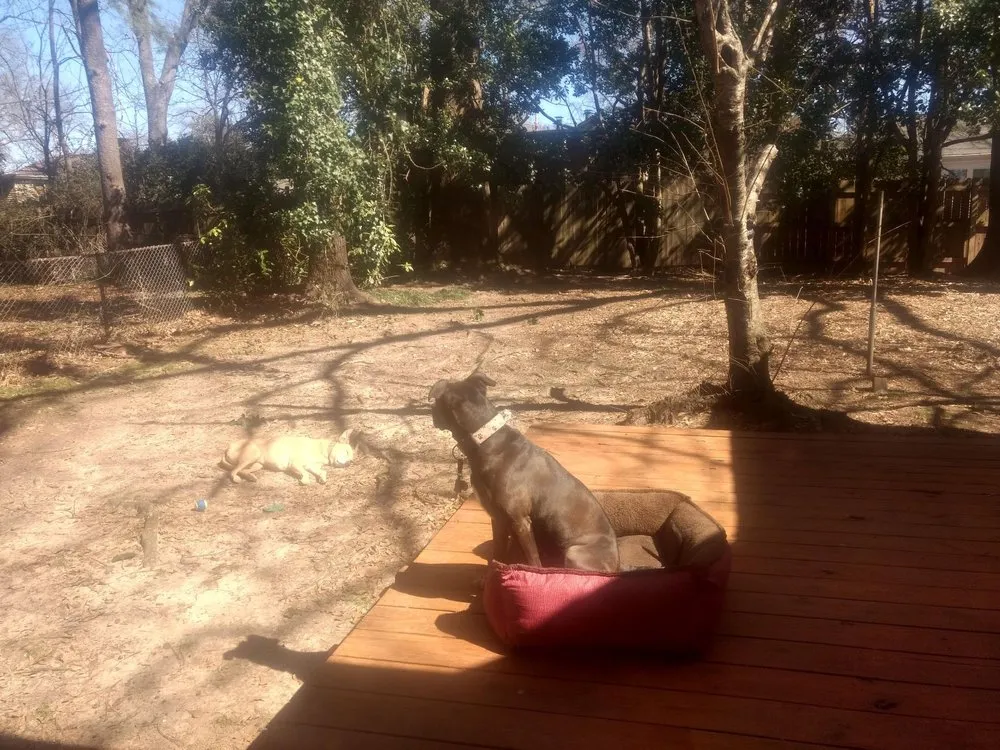 Custom yard maintenance in Atlanta, GA - Community Foodscapes