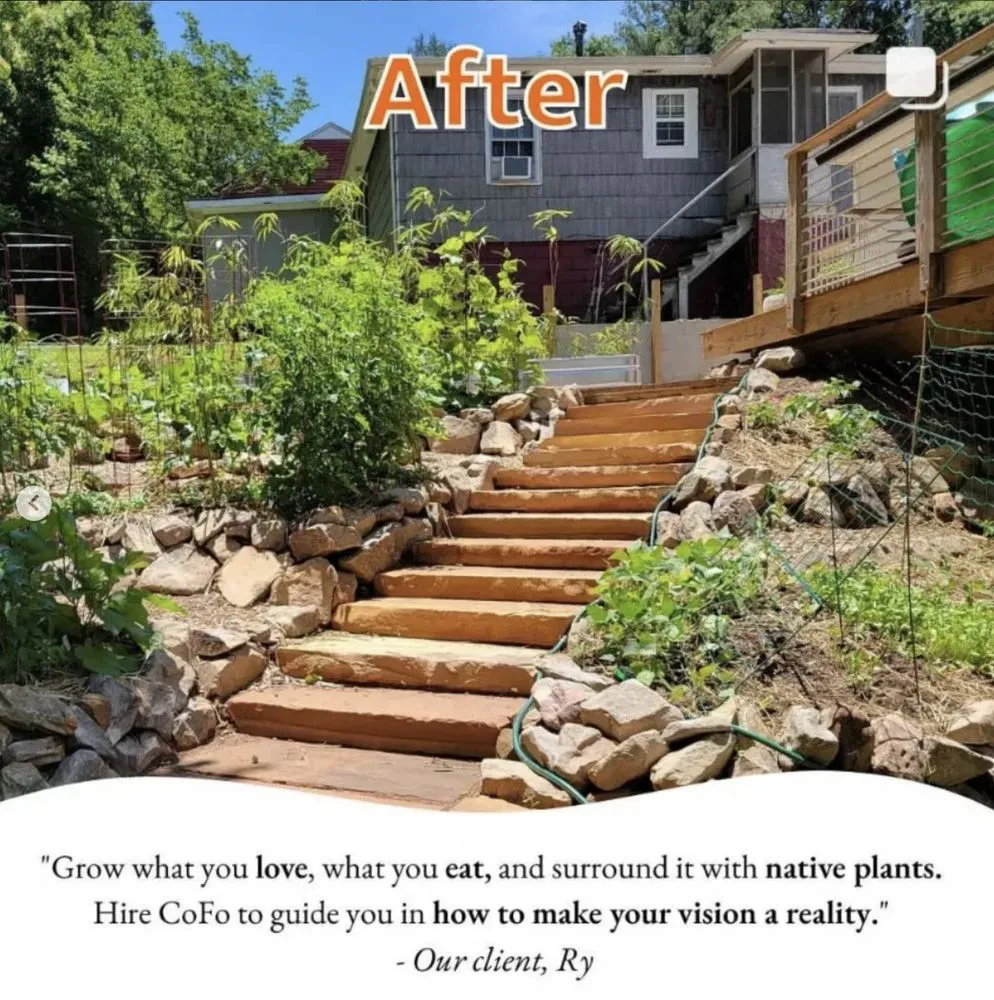 Expert landscaping services for year-round maintenance across Atlanta, GA - Community Foodscapes