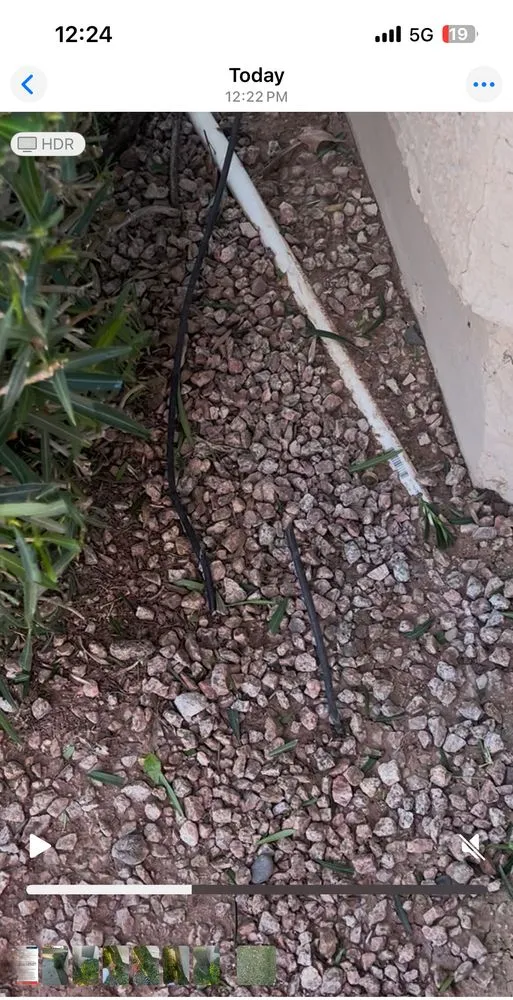 Local yard maintenance in Gilbert, AZ by Community Landscape Management