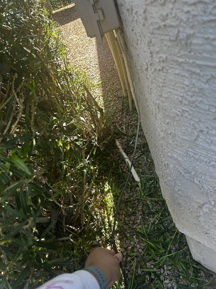 Trusted outdoor landscaping experts serving Gilbert, AZ - Community Landscape Management