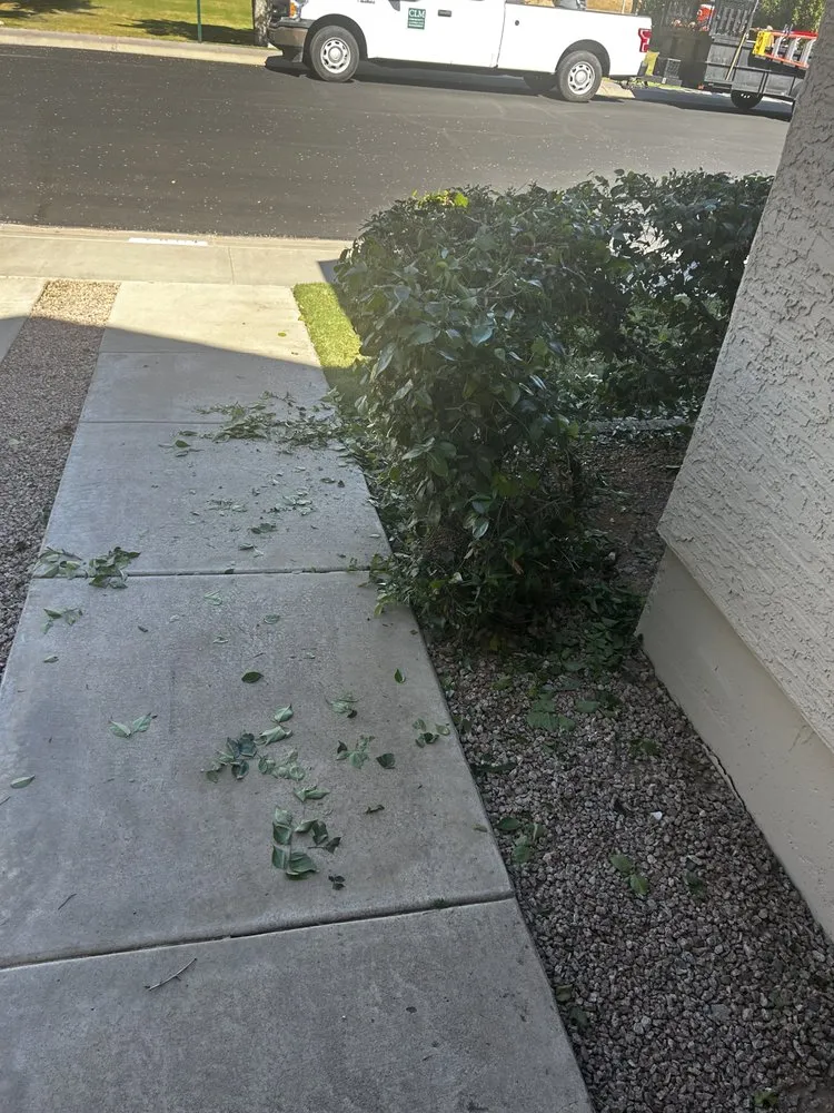 Trusted residential landscaping in Gilbert, AZ - Community Landscape Management