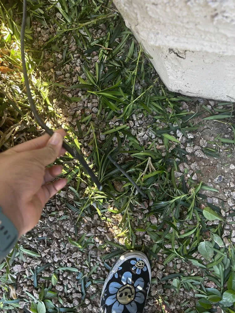 Local outdoor landscaping experts serving Gilbert, AZ - Community Landscape Management