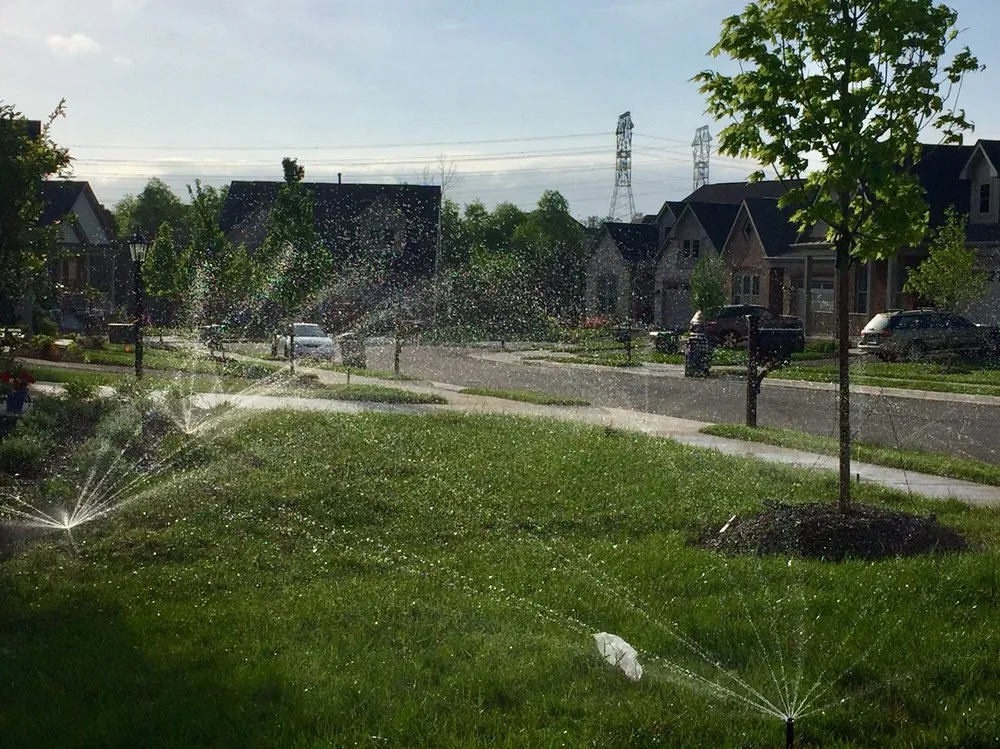 Reliable yard cleanup service with custom design in Sterling, VA by Community Landscape Services