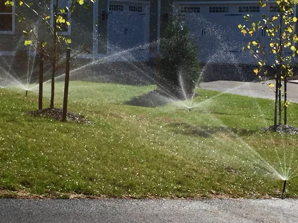 Top-rated yard cleanup service for homes across Sterling, VA - Community Landscape Services