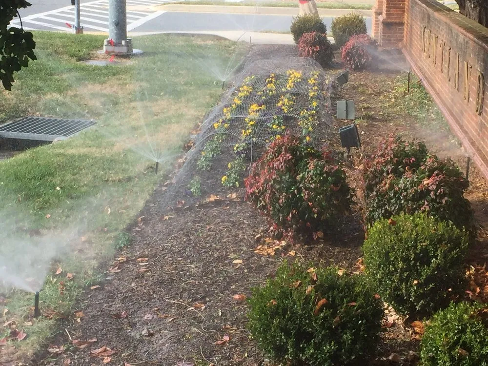 Top-rated lawn mowing service experts serving Sterling, VA - Community Landscape Services