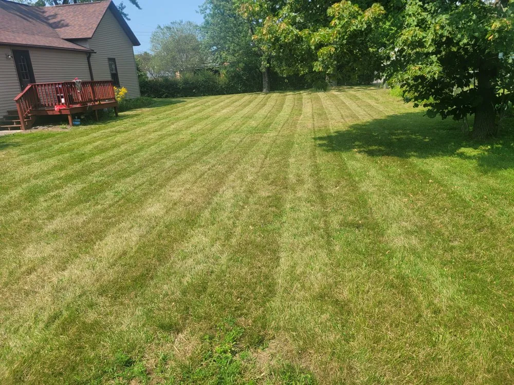 Custom landscape design experts serving Arkdale, WI - Community Landscaping