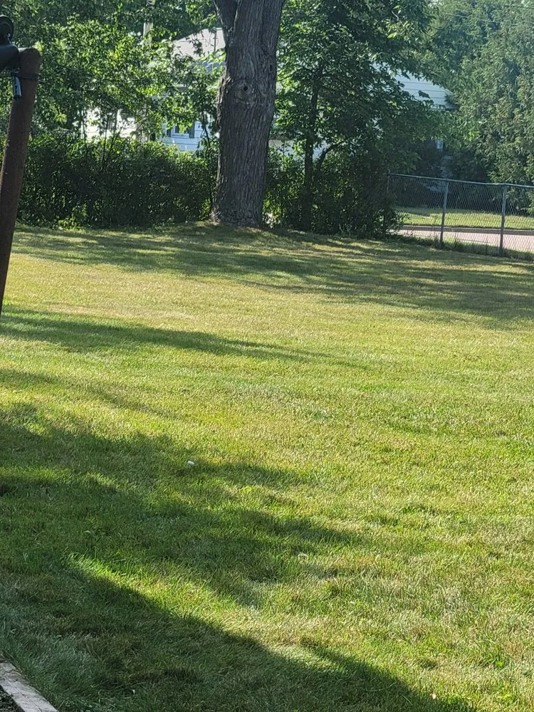 Professional outdoor landscaping for homes across Arkdale, WI - Community Landscaping