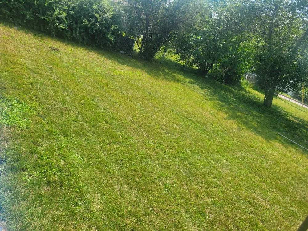 Top-rated residential landscaping in Arkdale, WI - Community Landscaping