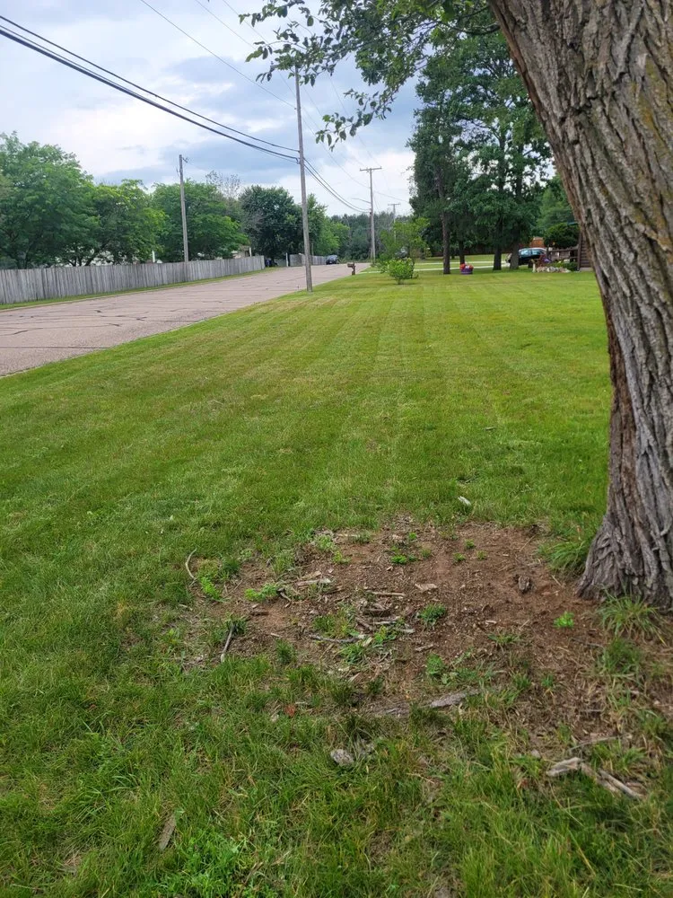 Affordable garden landscaping for outdoor upgrades in Arkdale, WI by Community Landscaping