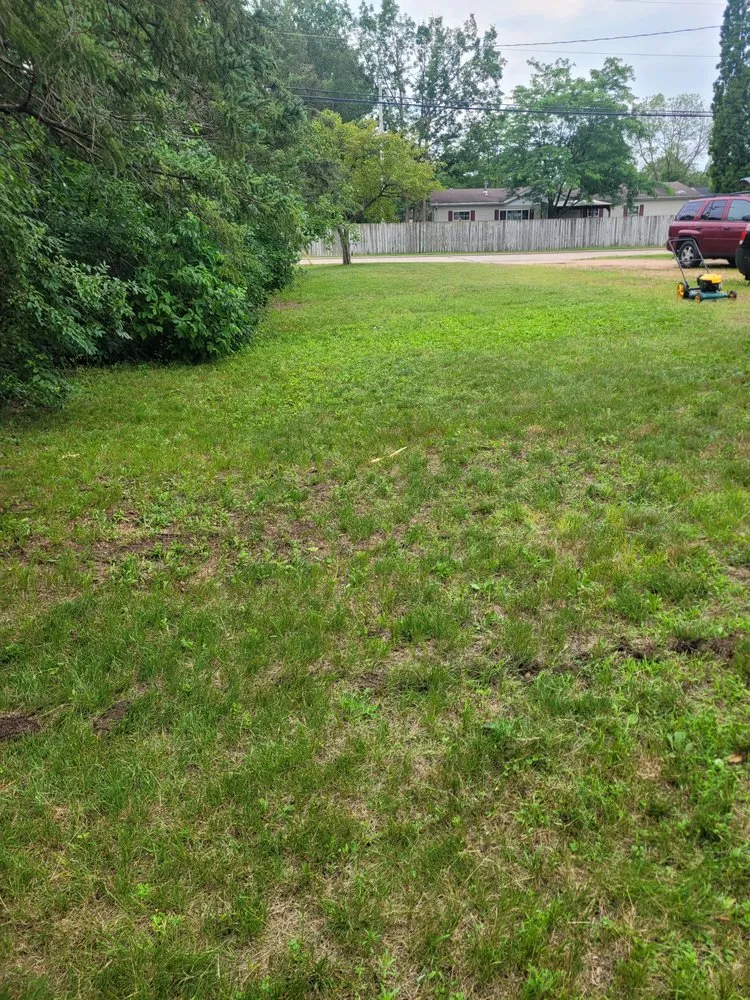 Affordable landscape installation experts serving Arkdale, WI - Community Landscaping