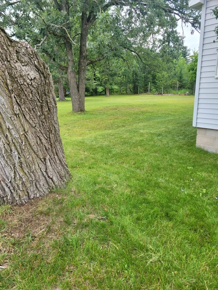 Expert landscaping services for outdoor upgrades in Arkdale, WI by Community Landscaping