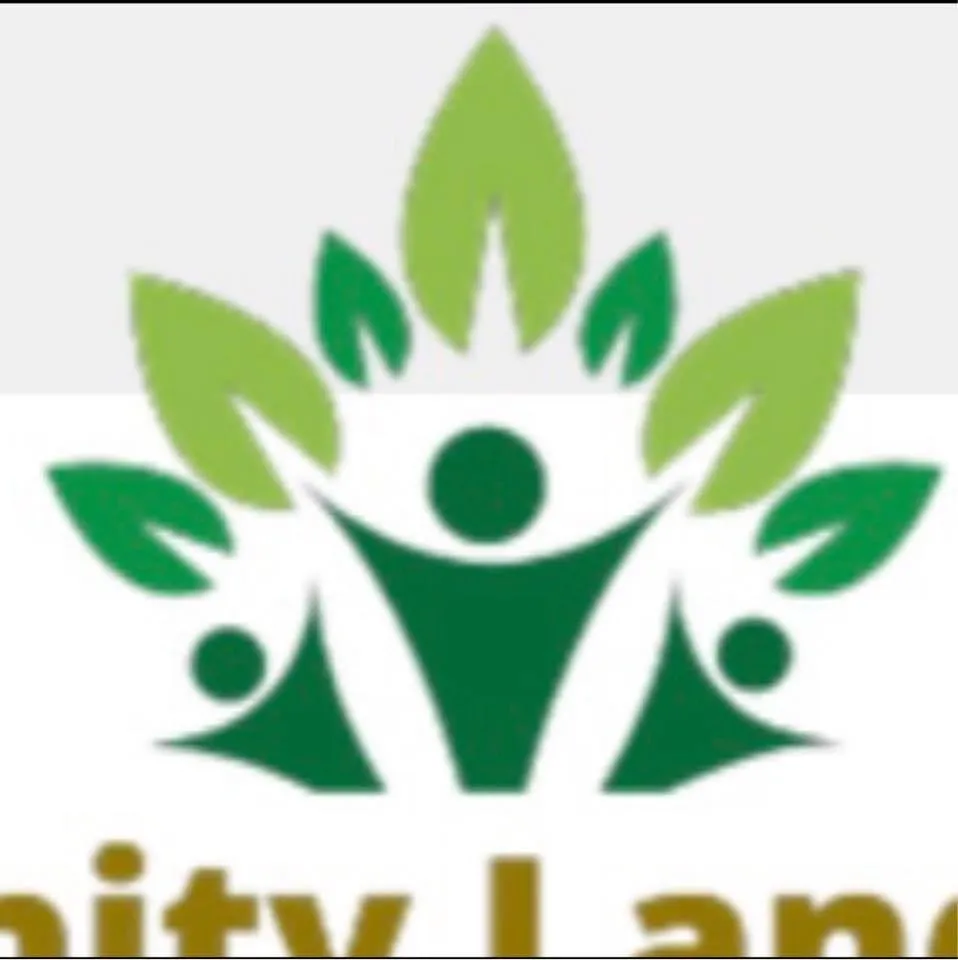 Local yard maintenance for year-round maintenance across Winston, GA - Community Landscaping