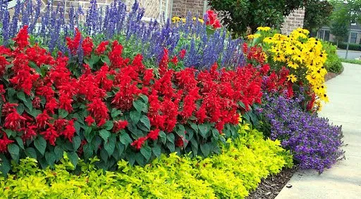 Local garden landscaping in Winston, GA by Community Landscaping
